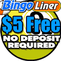 bingo liner - 5$ de bonus sans depot